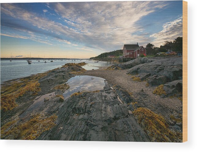 #boats Wood Print featuring the photograph Salt Cod Cafe by Darylann Leonard Photography