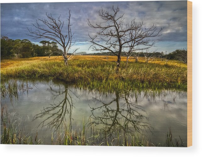 Clouds Wood Print featuring the photograph Salty Marsh at Jekyll Island by Debra and Dave Vanderlaan