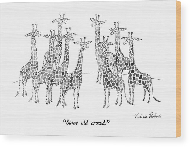 Animals Wood Print featuring the drawing Same Old Crowd by Victoria Roberts