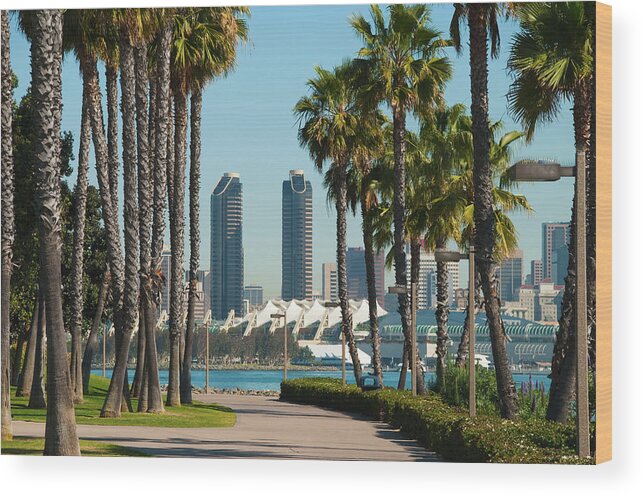 Grass Wood Print featuring the photograph San Diego Skyline And Palm Trees Scene by Davel5957
