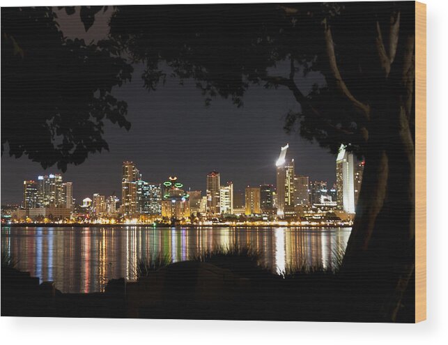 Photography Wood Print featuring the photograph San Diego Skyline Framed 1 by Lee Kirchhevel