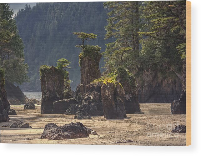 British Columbia Wood Print featuring the photograph San Josef Bay by Carrie Cole