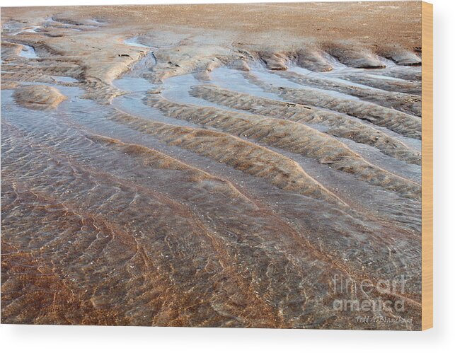 Landscape Wood Print featuring the photograph Sand Art No. 2 by Todd Blanchard