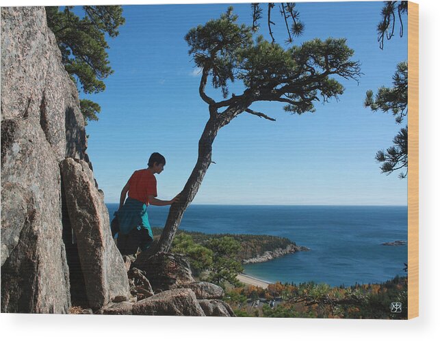 Acadia Wood Print featuring the photograph Sand Beach from the Beehive by John Meader