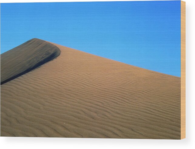 Sand Dune Wood Print featuring the photograph Sand Dune by Alex Bartel/science Photo Library