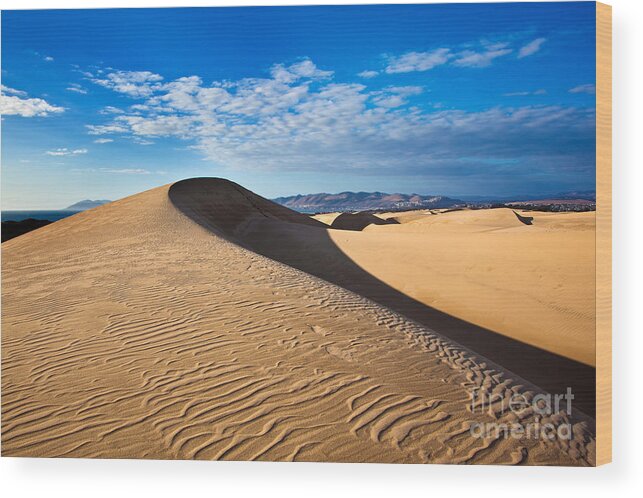 Landscape Wood Print featuring the photograph Sand Dune And Pismo Beach by Mimi Ditchie