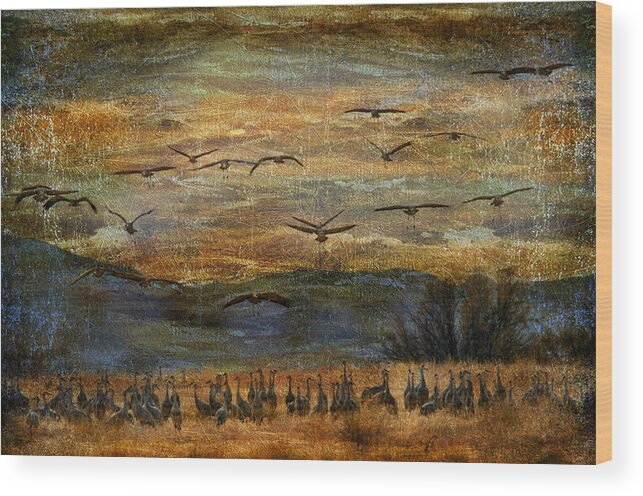 Birds Wood Print featuring the photograph Sandhill Cranes by Barbara Manis