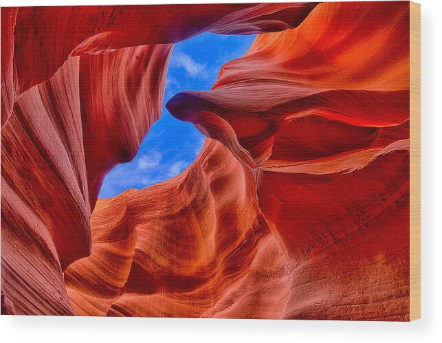 Antelope Canyon Wood Print featuring the photograph Sandstone Curves in Antelope Canyon by Greg Norrell