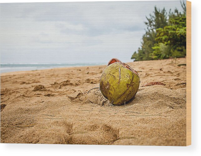 Coconut Wood Print featuring the photograph Sandy Coconut by April Reppucci