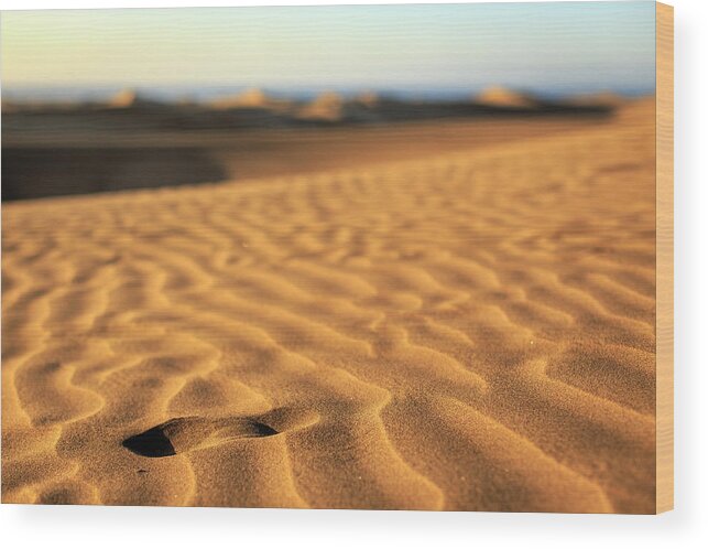 Tranquility Wood Print featuring the photograph Sandy Step by Photographer Joakim Berndes © 1996-2013