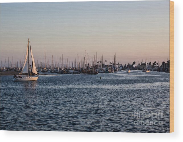 Santa Barbara Wood Print featuring the photograph Santa Barbara Harbor by Suzanne Luft