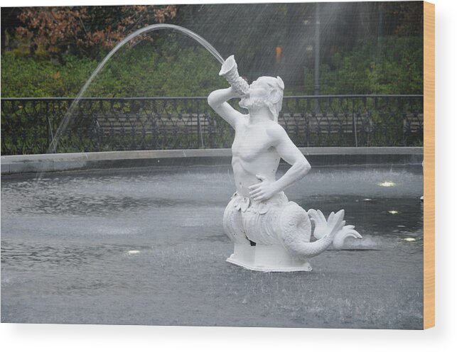  Satyr Wood Print featuring the photograph Satyr at Forsyth Fountain by Bradford Martin