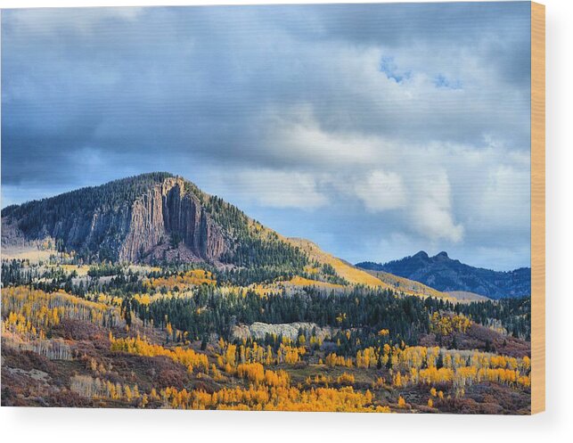 Landscape Wood Print featuring the photograph Sawtooth Aspens by Jacqui Binford-Bell