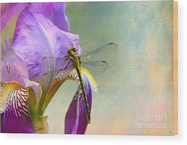 Iris Germanica Wood Print featuring the photograph Say Hello To Spring by Jai Johnson