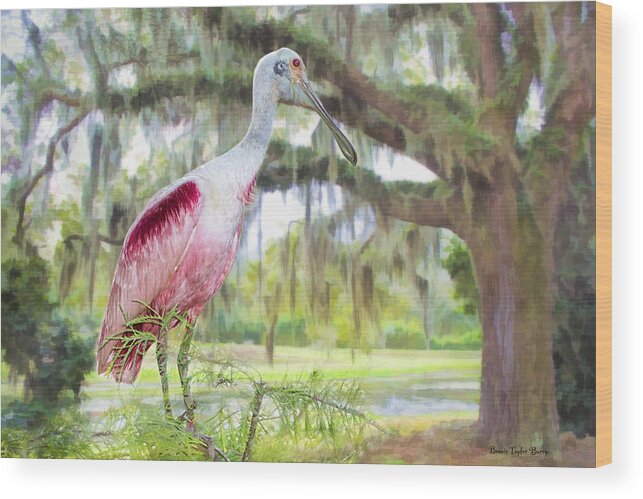 Roseate Spoonbill Wood Print featuring the photograph Scene from the Deep South by Bonnie Barry