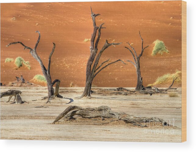 Sossusvlei Wood Print featuring the photograph Scenic View at Sossusvlei by Juergen Klust