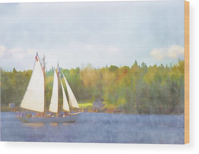 Schooner Wood Print featuring the photograph Schooner Castine Harbor Maine by Carol Leigh