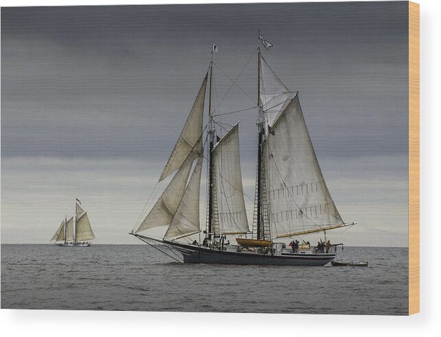 Schooner Wood Print featuring the photograph Schooner by Fred LeBlanc