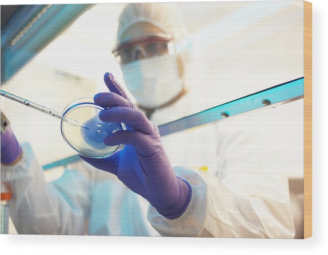 Protective Mask Wood Print featuring the photograph Scientist In A Clean Room by Reptile8488