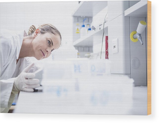 Expertise Wood Print featuring the photograph Scientist in lab examining samples by Westend61