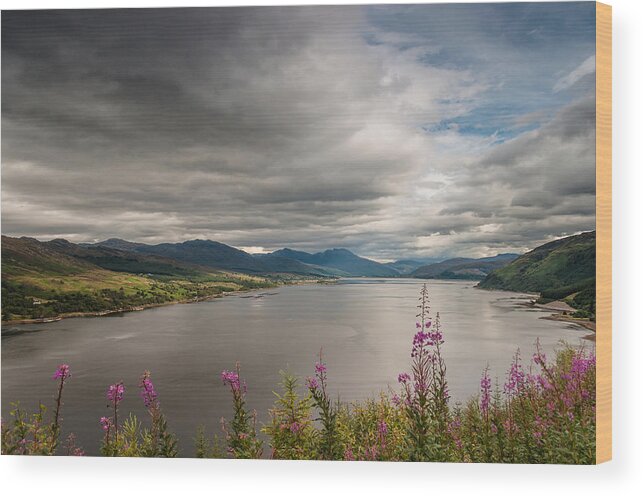 Europe Wood Print featuring the photograph Scotland's landscape by Sergey Simanovsky