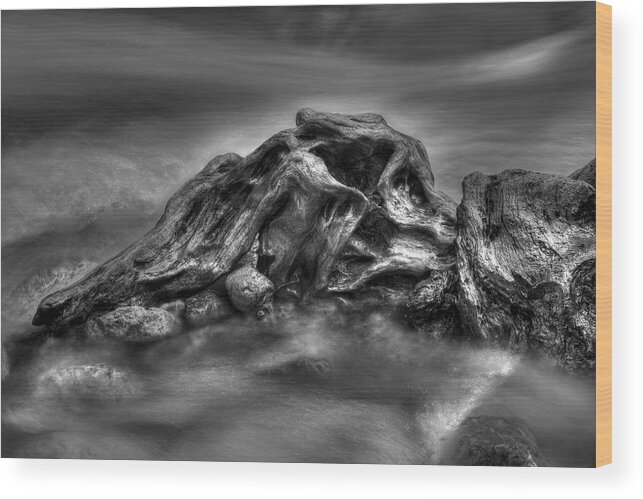 Art Wood Print featuring the photograph Sculpture by nature bw by Ivan Slosar