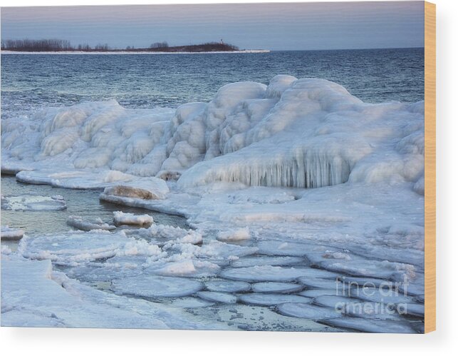 Winter Wood Print featuring the photograph Sculptured By Nature by Charline Xia