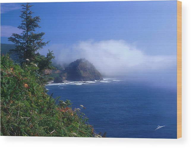 Nature Wood Print featuring the photograph Sea Fog by Phil Jensen