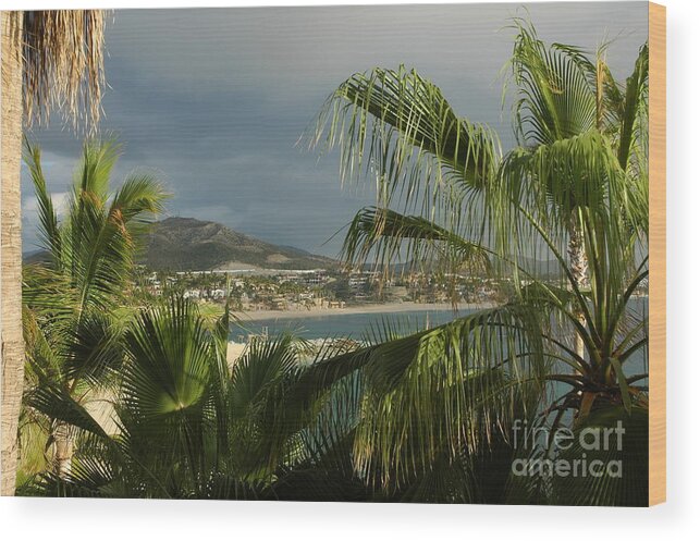 La Palmilla Resort Wood Print featuring the photograph Sea of Cortez by M West