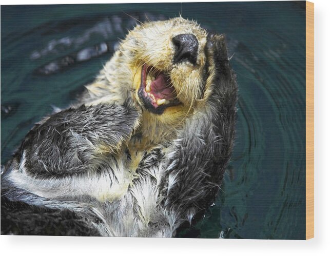 Sea Otter Wood Print featuring the photograph Sea Otter by Fabrizio Troiani