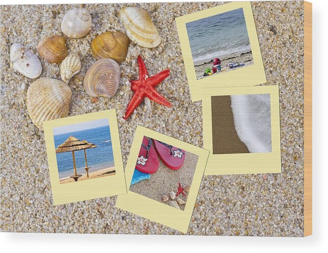 Seashell Wood Print featuring the photograph Sea shells by Paulo Goncalves