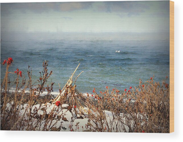 Ocean Wood Print featuring the photograph Sea Smoke by Sue Long