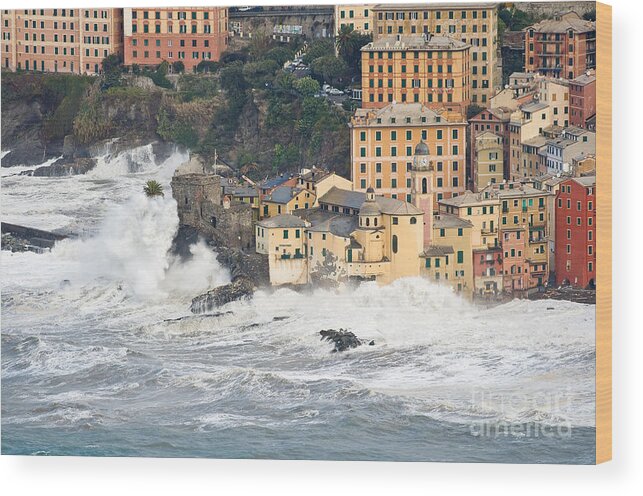 Agitated Wood Print featuring the photograph Sea storm in Camogli - Italy by Antonio Scarpi