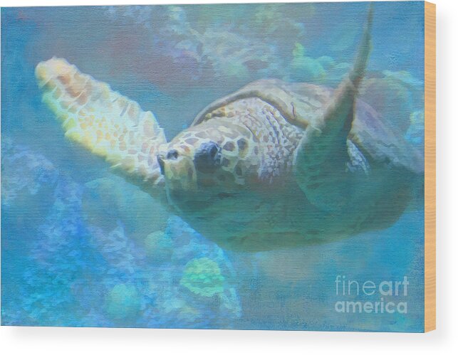Sea Turtle Wood Print featuring the photograph Sea Turtle Art by Jayne Carney