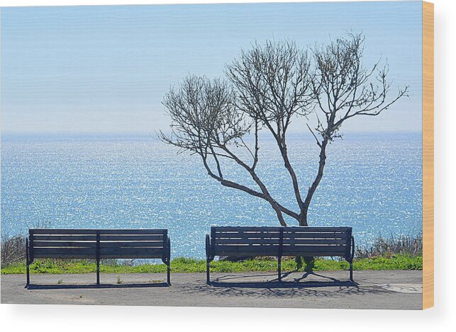 Scenic Wood Print featuring the photograph Sea View by AJ Schibig