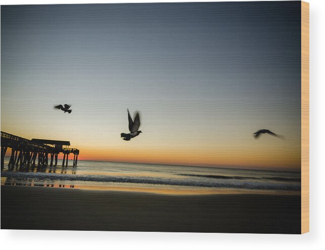 Georgia Wood Print featuring the photograph Seagulls Taking Flight by Anthony Doudt
