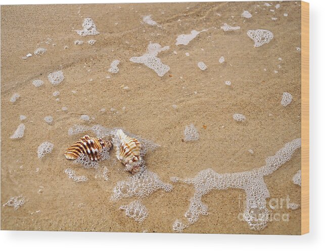 Seashells And Bubbles Wood Print featuring the photograph Seashells and Bubbles by Kaye Menner