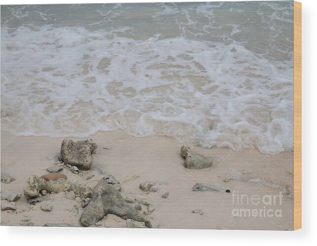 Seashore Wood Print featuring the photograph Seashore by Adriana Zoon