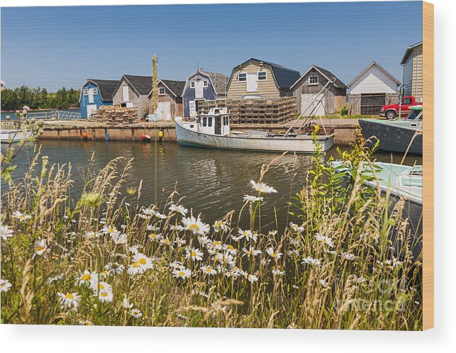 Dock Wood Print featuring the photograph Seaside view of Prince Edward Island by Elena Elisseeva