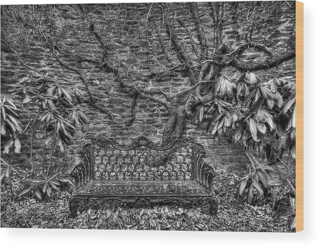 Black And White Wood Print featuring the photograph Secrets of the Garden BW by Dawn J Benko