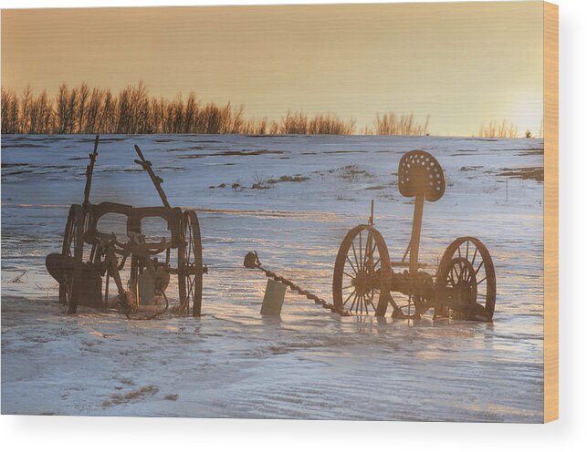 Farm Machinery Wood Print featuring the photograph Sentinels On The Hill by Sue Capuano