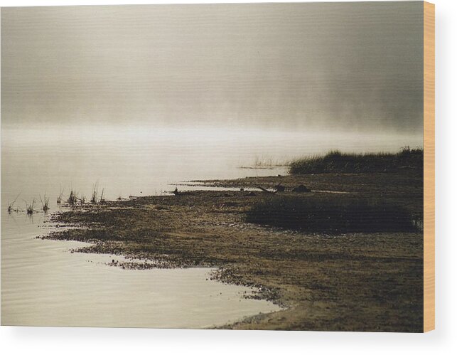 Landscape Wood Print featuring the photograph September Morning by David Porteus
