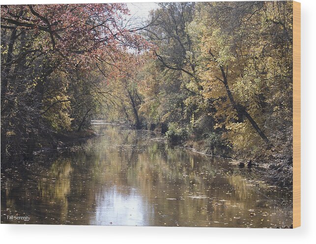 River Wood Print featuring the photograph Serenity River by Nancy Edwards