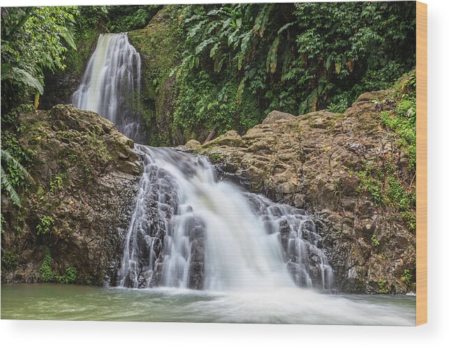 Tropical Rainforest Wood Print featuring the photograph Seven Sisters Falls, Grenada by Flavio Vallenari