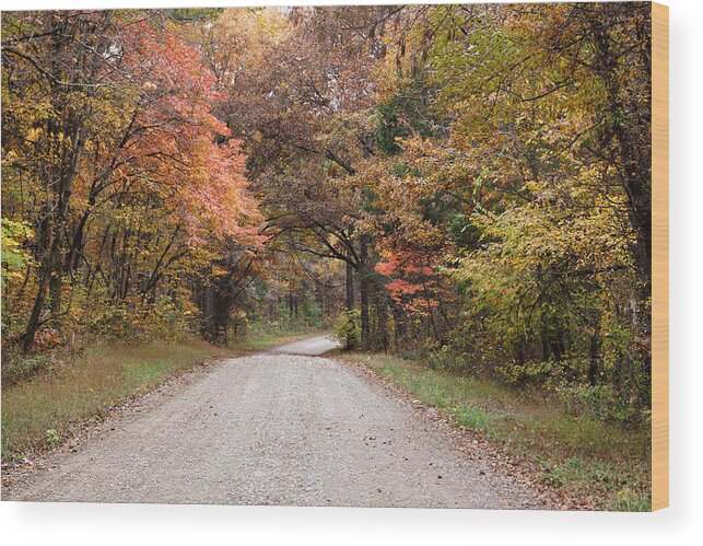 Road Wood Print featuring the photograph Shawnee Forest Road by Sandy Keeton
