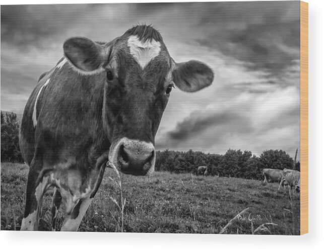 Cows Wood Print featuring the photograph She wears her heart for all to see by Bob Orsillo