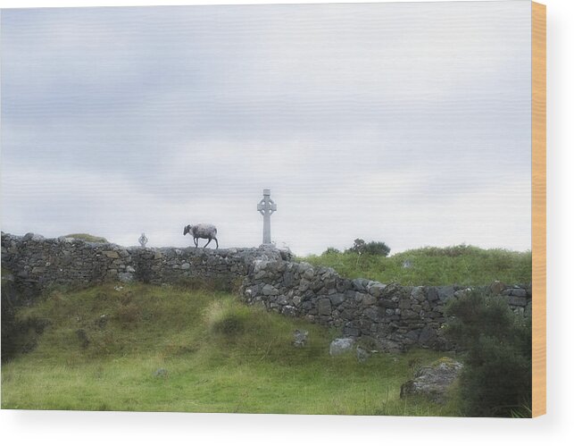 Cross Wood Print featuring the photograph Sheep and cross by Hugh Smith
