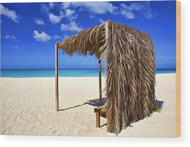 Seascape Wood Print featuring the photograph Shelter on a White Sandy Caribbean Beach with a Blue Sky and White Clouds by David Letts
