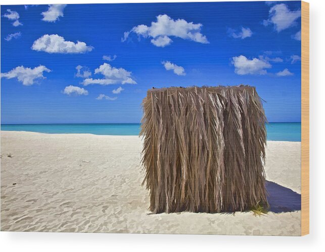 Aruba Wood Print featuring the photograph Shelter on a White Sandy Caribbean Beach with a Blue Sky and White Clouds II by David Letts