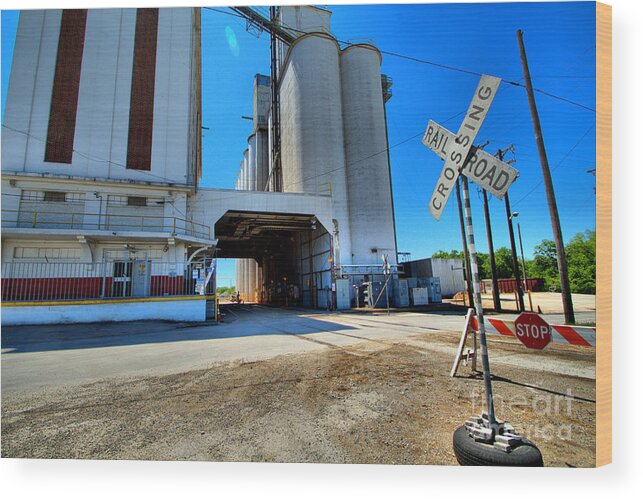 Grain Elevator Wood Print featuring the photograph Sherman Grain Elevator Crossing by JD Smith